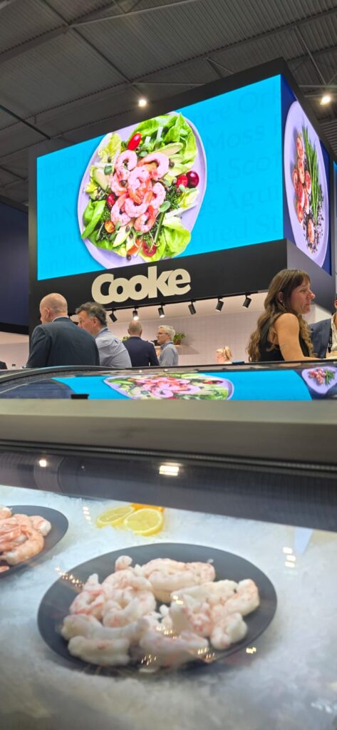 mostrador pantalla LED Cooke 2026