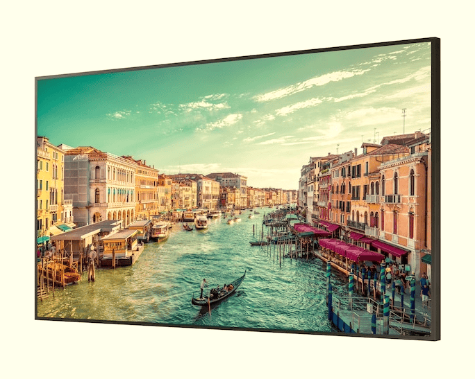 Monitor Samsung QM98T-B Crystal UHD 4K de 98 pulgadas